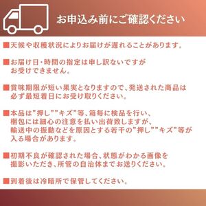 桃 2026年先行予約 岡山県産 白桃 岡山白桃1.5kg箱 5～6玉