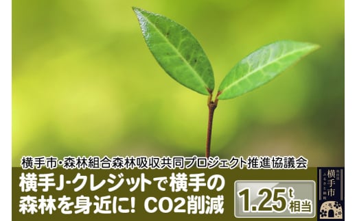 
横手J‐クレジットで横手の森林を身近に! CO2削減 1.25t相当
