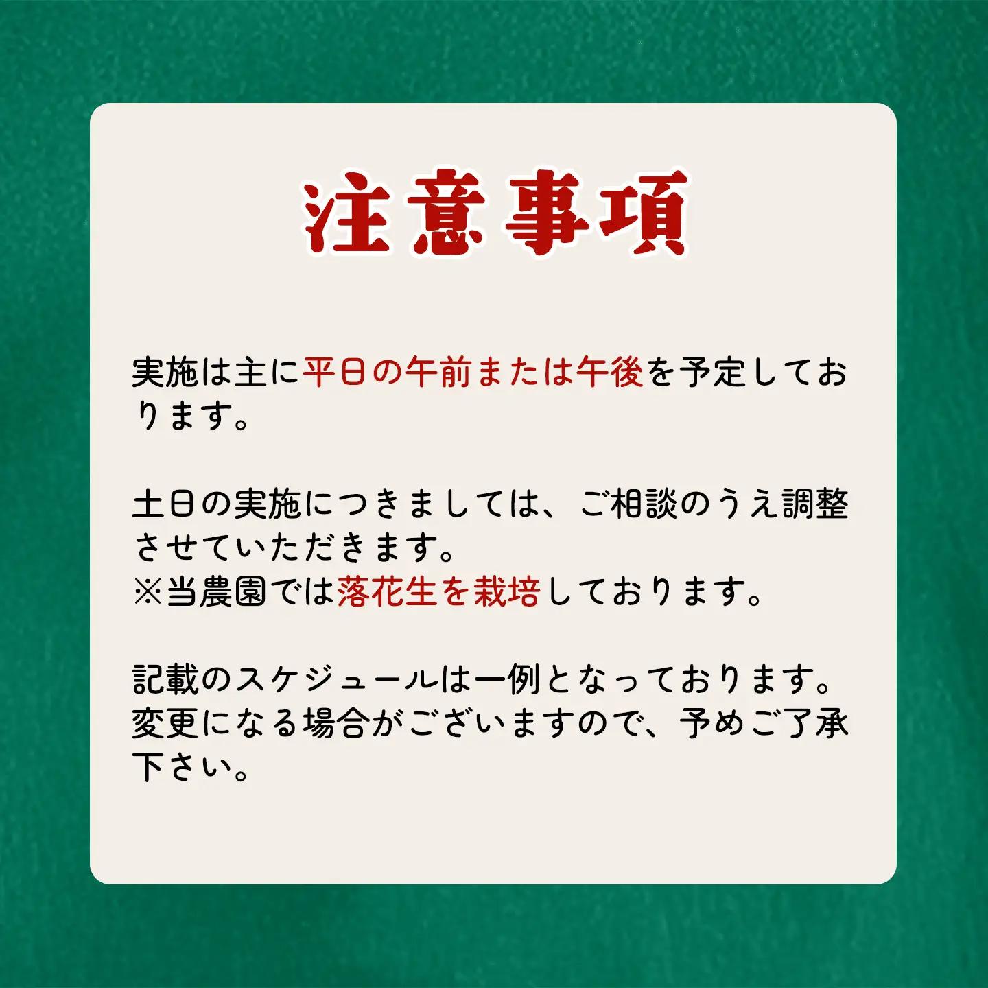 収穫体験 チケット 4名 収穫体験
