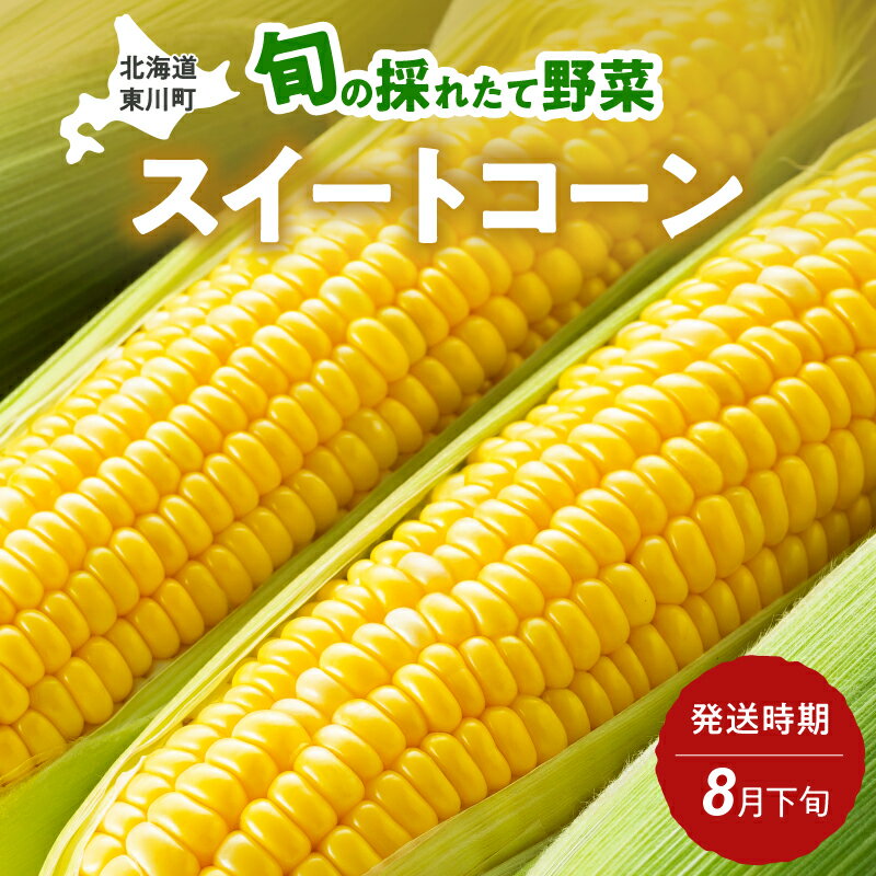 【ふるさと納税】【8月下旬発送】旬の採れたて野菜「スイートコーン」
