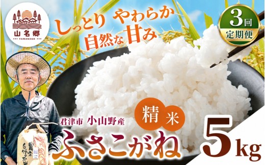 【定期便3回】令和8年産 ふさこがね 精米 5kg | あかかげ農園 メディアで紹介 !  精米 3回 山名郷米 やまなごうまい フサコガネ 千葉稲作 千葉県産 米 コメ こめ お米 千葉県 君津市 きみつ