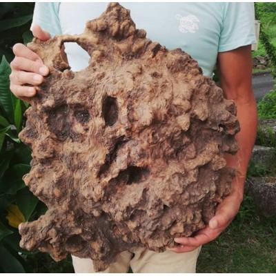 ふるさと納税 屋久島町 屋久杉イニシャルキーホルダー　”S” |  | 03