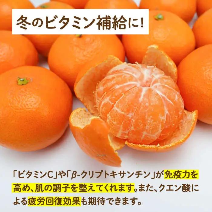 【2026年11月下旬-発送】【高糖度】温州みかん 約3kg / みかん ミカン 蜜柑 果物 フルーツ / 南島原市 / 南島原果物屋[SCV021]