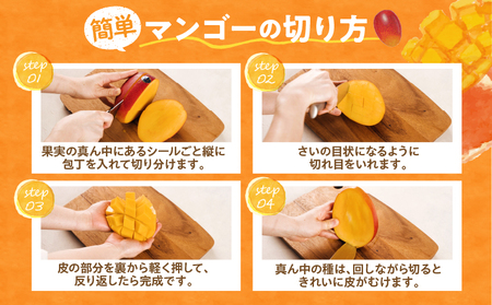 《2026年発送先行予約》【数量・期間限定】完熟マンゴー2L×1玉定期便　全4回 マンゴー 果物 定期便