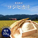 【ふるさと納税】新潟県産コシヒカリ おおしま育ち 精米10kg入（5kg×2）上越市 お米 米 お取り寄せ