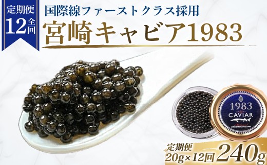 【定期便：全12回】【国際線ファーストクラス採用】宮崎キャビア1983＜20g×12回＞ 国産 キャビア 魚卵 1983 宮崎 宮崎県 小林市