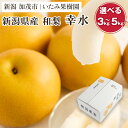 【ふるさと納税】【2025年先行予約】【厳選】新潟県産 和梨 幸水 選べる内容量 「3kg」or「5kg」《8月上旬以降発送》果物 フルーツ こうすい 加茂市 いたみ果樹園