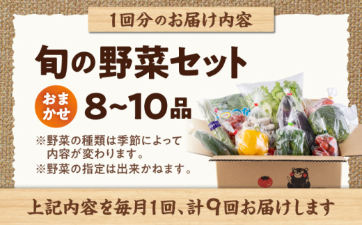 【全9回定期便】旬な野菜おまかせ詰め合わせセット / やさい 産地直送 野菜 新鮮 詰め合わせ 採れたて 春野菜 夏野菜 秋野菜 冬野菜 旬  熊本【合志物産販売 志来菜彩】 [AYCA005]
