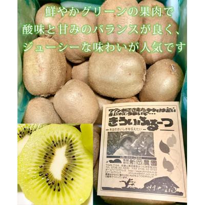 ふるさと納税 広川町 紀州かつらぎ山のキウイフルーツ約3kg |  | 01