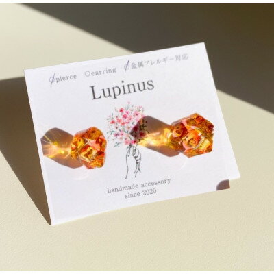 【ふるさと納税】サージカルステンレス金属アレルギー対応ピアス・レッドカラー【1676351】