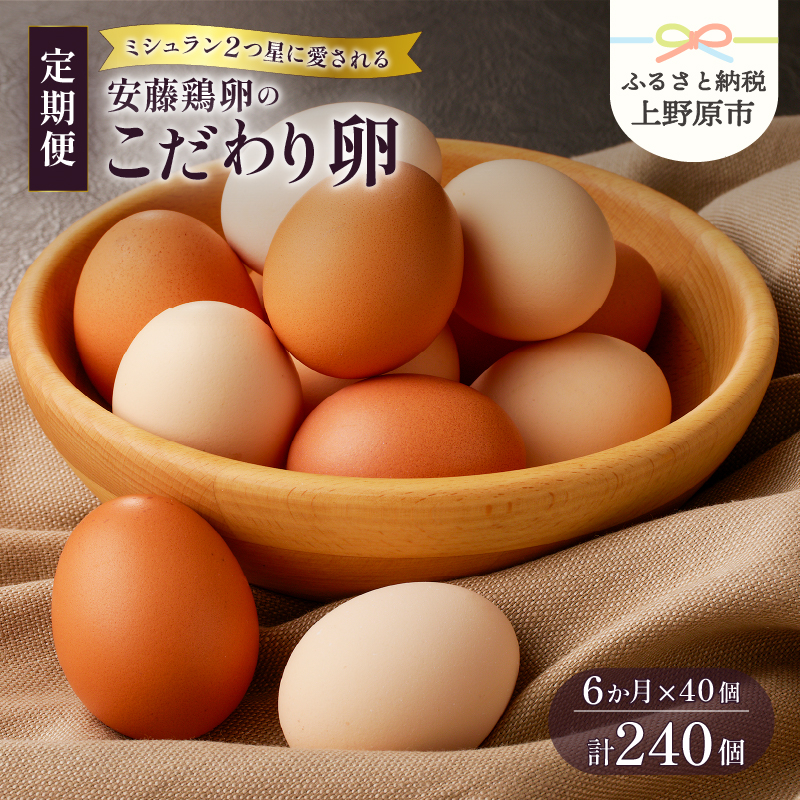 【ふるさと納税】 【6ヶ月定期便】たまご 卵 定期便 お楽しみ 生卵 卵かけご飯 高級 高級卵 濃厚鶏卵 新鮮 セット ミシュラン こだわり卵 40個×6ヶ月 プレゼント 贈答 贈り物 送料無料 山梨県 上野原市