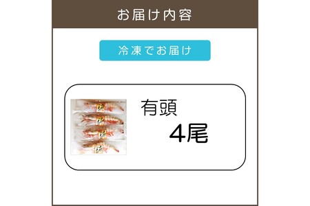 特大 天然海老(有頭･4尾)【C-136】