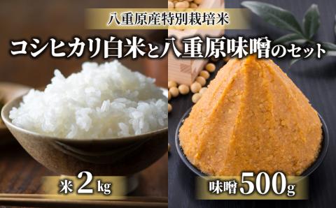 【太陽と大地】令和7年産「八重原産特別栽培米（減農薬・減化学肥料栽培）コシヒカリ（白米）２kg」と「信州味噌「八重原味噌」５００ｇ」セット※2025年10月中旬以降発送