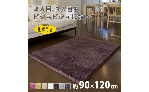 乾度良好 Dナチュレ バスマット 約90×120cm ブラウン 吸水速乾 裏面すべり止め加工 抗菌防臭 洗える 足拭きマット