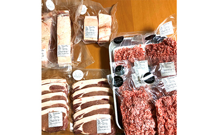 数量限定 【放牧豚】 1頭買い 定期便 12回 最低保証36kg 冷凍 肉 豚 豚肉 ジビエ ブタ 定期便 地産地消 ヘルシー 小分け 3kg ギフト おかず F4F-5146