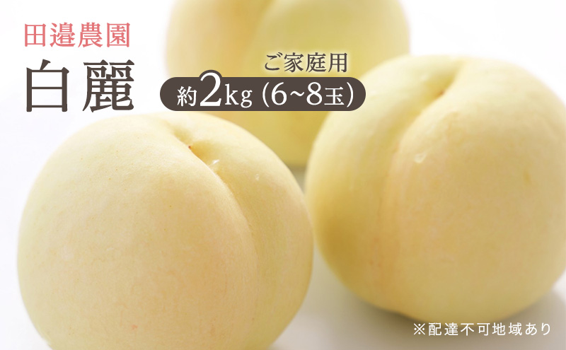 桃 岡山県産 ご家庭用 もも 白麗 約2kg（6～8玉） 田邉農園《2026年8月上旬～8月中旬頃出荷》  果物 岡山 里庄町 モモ