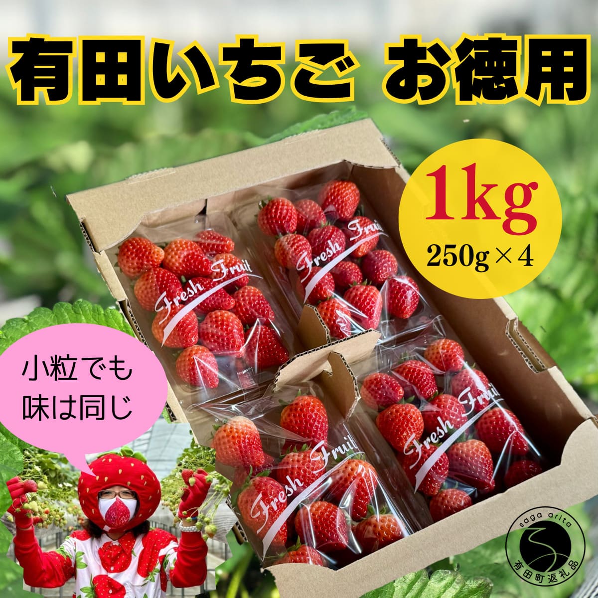 【ふるさと納税】【2026年2月〜順次発送】有田いちご 1kg お徳用いちご ちょっと小粒（2L〜Mサイズ）250g×4パック 朝摘み完熟いちごを即日発送！【みゆきファーム】いちごさん F12-46