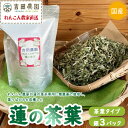 【ふるさと納税】国産　蓮の葉茶　3パックセット（銀 3パック）※離島への配送不可※着日指定不可