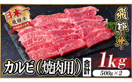飛騨牛 厳選カルビ(焼肉・BBQ用) 1kg(500g×2) 小分け 黒毛和牛 A4～A5等級_肉 焼肉 牛肉 やきにく ヤキニク バーベキュー  肉 飛騨牛 牛肉 うし ビーフ_【配送不可地域：離島】【1487353】