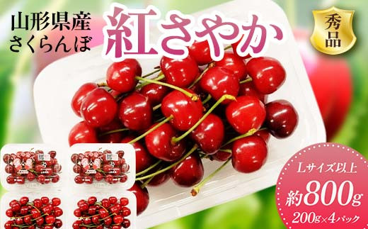 
            《2026年先行予約》 山形県産 さくらんぼ ＜紅さやか＞ 秀品 約800g（200g×4パック） Lサイズ以上 FSY-2010
          