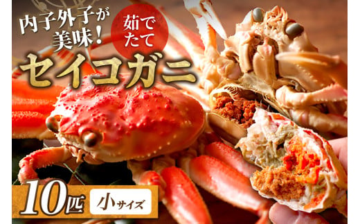 【蟹の匠 魚政】内子外子が美味! 茹でたて セイコガニ（セコ蟹）（香箱ガニ）（こっぺ）小サイズ 10匹セット