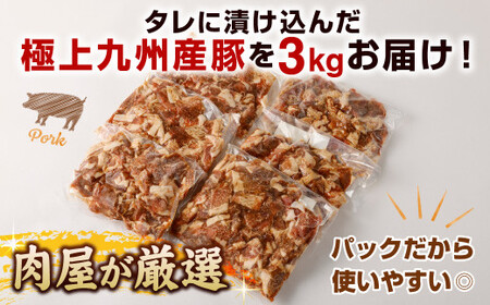 【6ヶ月定期便】 九州産豚 タレ漬け 合計3kg 500g×6袋×6回
