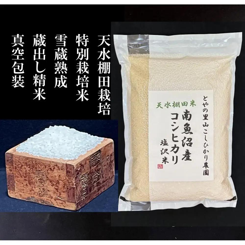 令和8年新米予約定期便【天水棚田米】特別栽培米雪蔵熟成塩沢産コシヒカリ精米5kg6回「とやの里山継承プロジェクト」｜コシヒカリ【2026年10月下旬より順次発送予定】