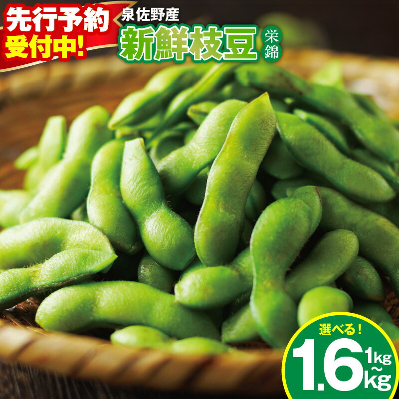 【ふるさと納税】【先行予約】 新鮮 枝豆 栄錦 選べる 内容量 200g×5袋 / 8袋 合計 1kg / 1.6kg 生枝豆 コク 風味 晩酌 お酒 おつまみ ビール お供 塩ゆで 生鮮食品 野菜 お取り寄せ グルメ 大阪府 泉佐野市 送料無料