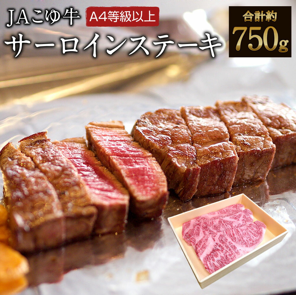 【ふるさと納税】宮崎黒毛和牛＜こゆ牛＞サーロインステーキ（250g×3枚）計750g A4等級以上 ブランド牛 宮崎県産 冷凍 和牛 牛肉 国産 送料無料