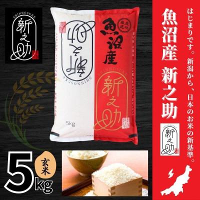 ふるさと納税 津南町 【令和7年産】魚沼産新之助(玄米)5kg