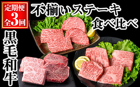 ＜定期便・全3回＞黒毛和牛不揃いステーキ食べ比べ定期便 (合計1.04kg) 黒毛和牛 赤身 訳あり 【KNOT】 T63