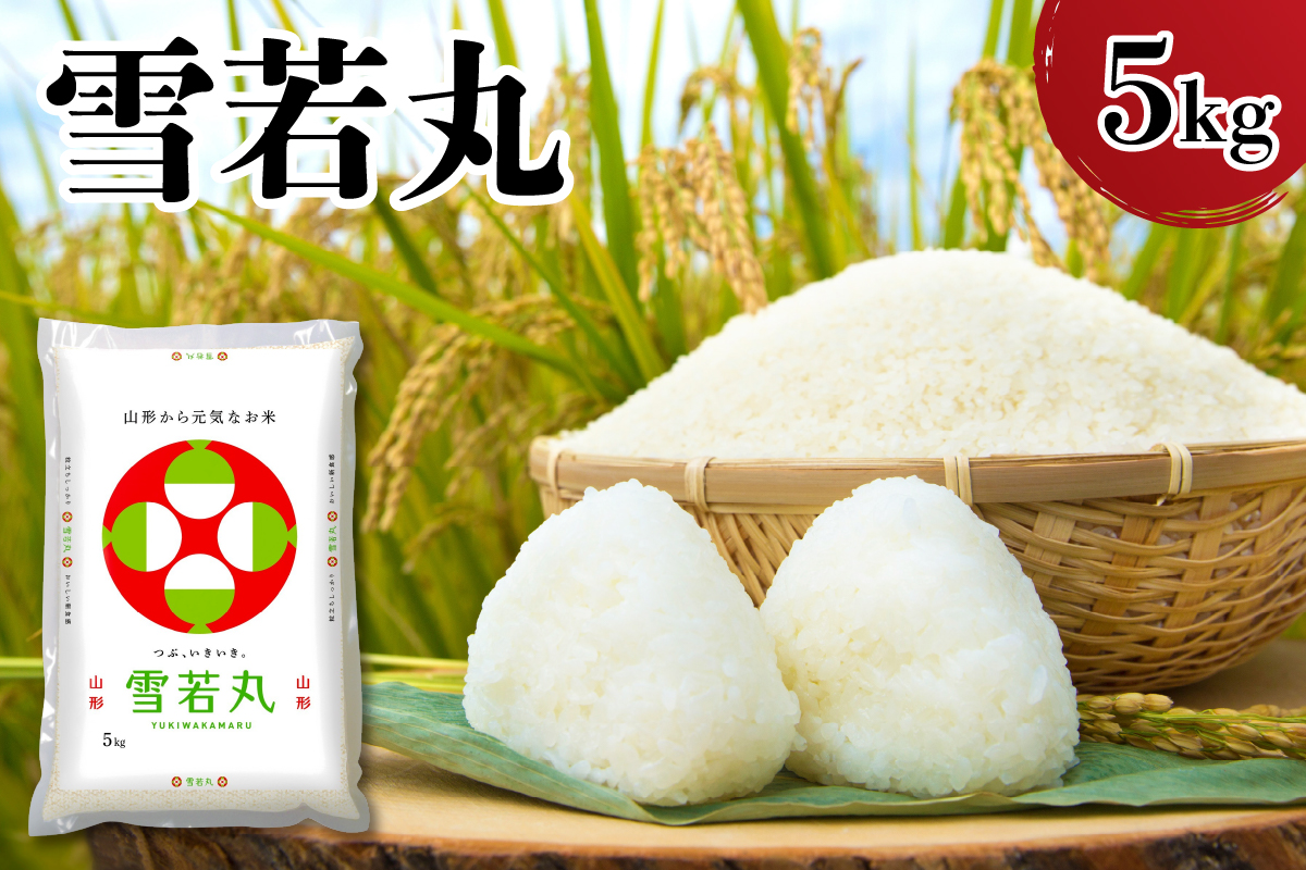 【令和7年産】 山形県産 雪若丸 5kg 精米