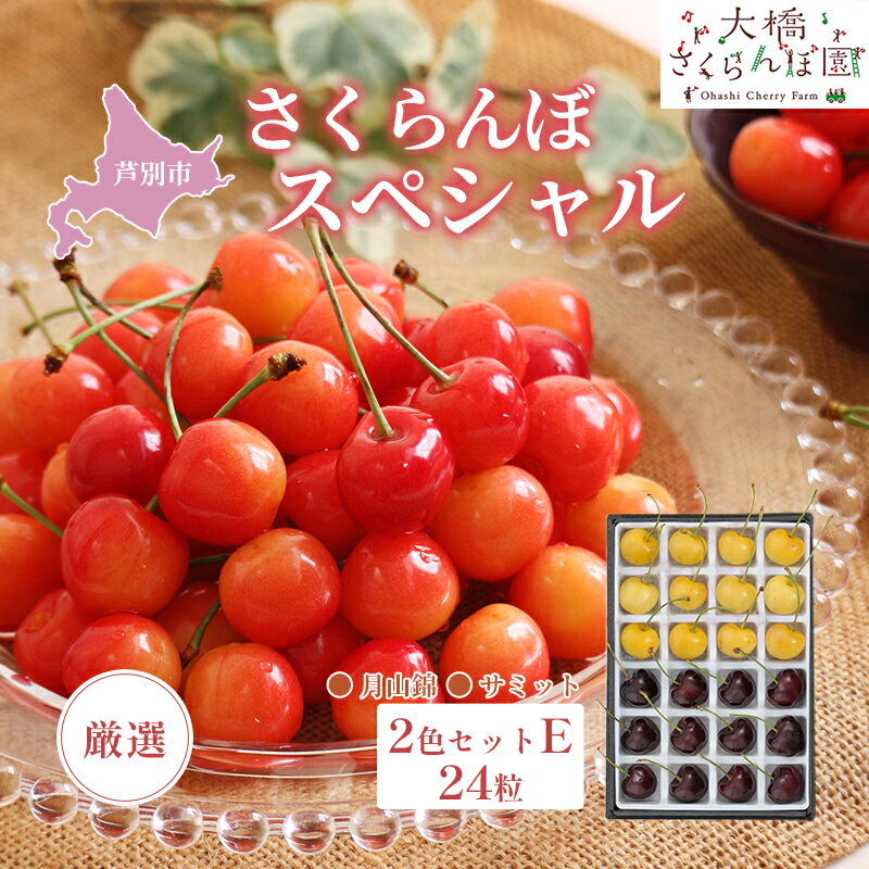 【ふるさと納税】先行予約 厳選 さくらんぼ スペシャル 2色 セット E 24粒（黄・黒） 月山錦 サミット フルーツ 果物 季節のフルーツ 旬 旬のフルーツ 夏 化粧箱 ギフト 贈り物 贈答 プレゼント 冷蔵 冷蔵配送 北海道 芦別市　お届け：2026年7月下旬頃～