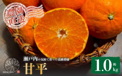 【先行予約】 甘平 家庭用 約1kg　4～5玉 お試しサイズ Sから4Lサイズ混合 【2026年1月下旬から発送予定】 | 柑橘 みかん 蜜柑 果物 くだもの フルーツ おすすめ 国産 高級 人気 お取り寄せ グルメ ギフト 期間限定 数量限定 ご当地 愛媛三大柑橘（ 紅まどんな せとか 甘平 ） 愛媛 松山 蓮果園