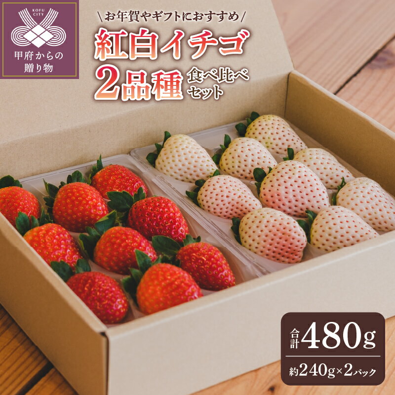 【ふるさと納税】 いちご 紅白いちご 先行予約 食べ比べ セット ギフト 贈答 プレゼント 採れたて フルーツ 計2品種 約240g×2パック 冷蔵 フルーツ王国山梨 甲府市産 k222-005