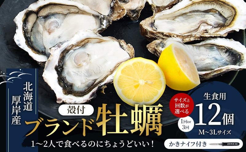 
            北海道厚岸産 牡蠣 サイズと回数が選べる 1ダース（12個入り） 生食用 生牡蠣 貝付き牡蠣 貝 海鮮 魚介類 シーフード 殻付き牡蠣 マルえもん [№5863-0301-01]
          