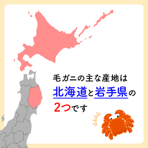 【期間限定2月～4月発送】三陸産活毛ガニ 300g相当×2杯【35】天然 国産 冷蔵 三陸 直送 濃厚 かに 蟹 カニ 毛ガニ 毛蟹 毛がに 