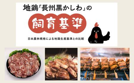 【流通割合1%未満！希少地鶏】合計1.2kg 長州黒かしわ もも肉 小分けパック カット済み 柚子 鶏 ジューシー 天然記念物黒柏 地鶏 栄養 旨味 長門ゆずきち柚子こしょう付 唐揚げ 焼き鳥  (1