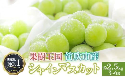 
            ＜25年発送先行予約＞人気 シャインマスカット 約2.5kg 3～6房　※沖縄県及び離島への配送はできませんので予めご了承ください。　※常温配送　126-007　| シャインマスカット 発送 甲斐通商 笛吹市 山梨県 フルーツ 果物 ぶどう 葡萄 大粒 シャインマスカット おすすめ シャインマスカット 贈答 ギフト 産地 笛吹市 シャインマスカット 笛吹 葡萄 国産 ぶどう 人気 国産 2.5kg
          