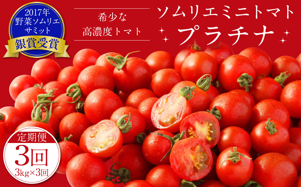 【年3回定期便/2025年1月発送開始】 ソムリエ ミニトマト プラチナ 3kg×3回 合計9kg とまと トマト 野菜 やさい 熊本県産 国産