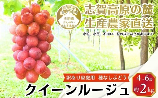 
                  ぶどう 訳あり 家庭用 クイーンルージュ 約2kg (4～6房) フルーツ 秋 2026年 10月発送
                