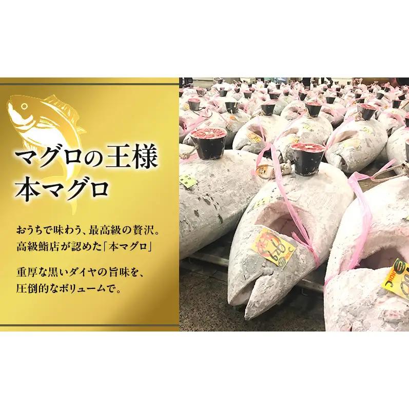 まぐろ 天然本マグロ 切り落とし 800g(80g×10袋)