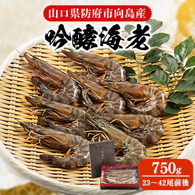 ふるさと納税 防府市 【山口県防府市向島産】吟醸海老750g