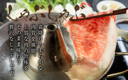 すき焼き、しゃぶしゃぶなどに最適な飛騨牛スライスセット [A5等級] 飛騨牛すき焼き・しゃぶしゃぶ用 300g『ロース・肩ロース肉』[0166] 牛肉 肉 和牛 黒毛和牛 国産牛 a5 霜降り 小分け