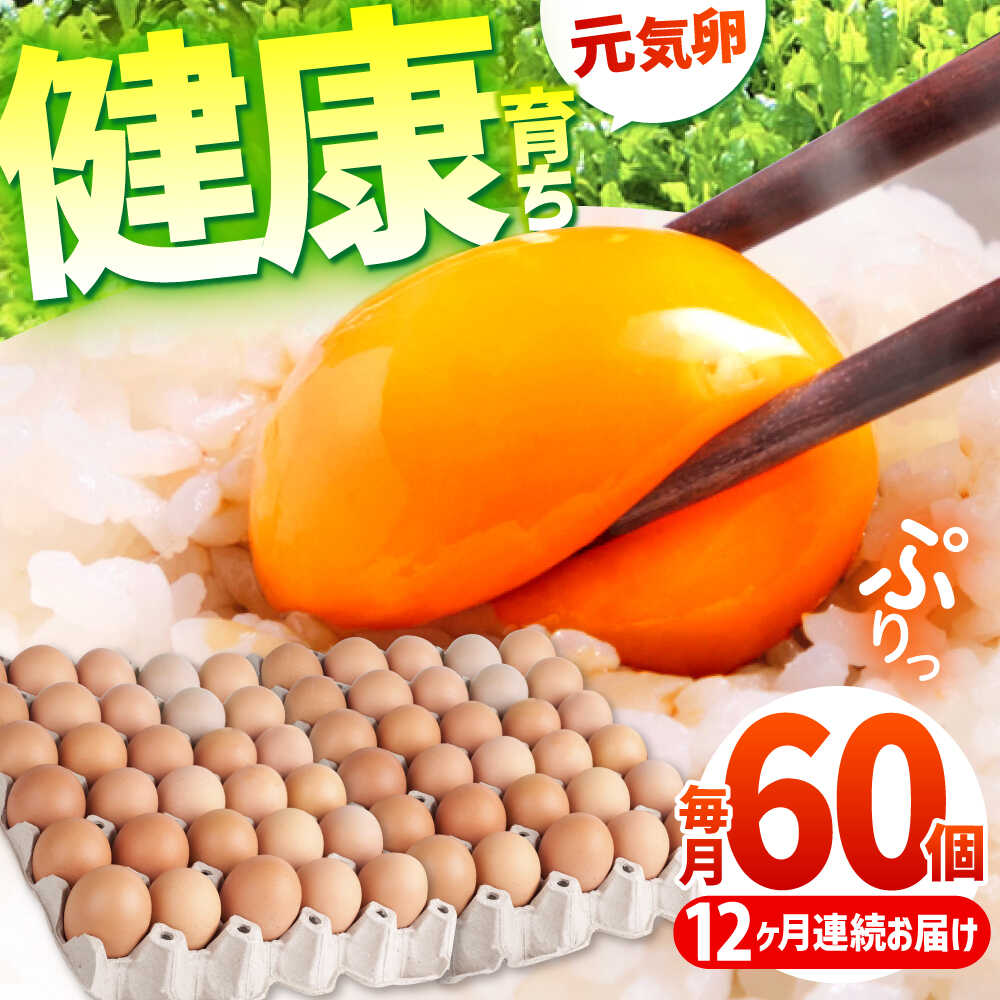 【ふるさと納税】【全12回定期便】お茶と海藻で健康育ち 元気卵 720個（60個×12回） / 卵 定期便 玉子 たまご タマゴ 12か月 12ヵ月 12カ月 12ケ月 定期 / 亀山市 / 藪本養鶏園[AMBH011]