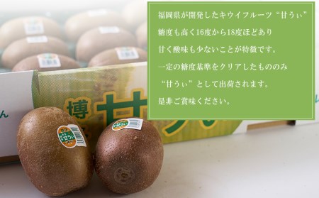 福岡限定!ブランドキウイ「甘うぃ(あまうぃ)」約1.5kg箱(12-15玉) 3V20