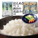 【ふるさと納税】 令和5年産庄内米「はえぬき5kg」と簡単に漬物ができる「酒田の塩・浅漬けの素2袋」 F2Y-3751