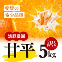 【ふるさと納税】【先行予約】【数量限定】【訳あり】浅野農園の甘平（かんぺい）5kg｜柑橘 みかん ミカン フルーツ 果物 愛媛 有名 代表 高級 ※2025年2月中旬頃より順次発送予定 ※離島への配送不可