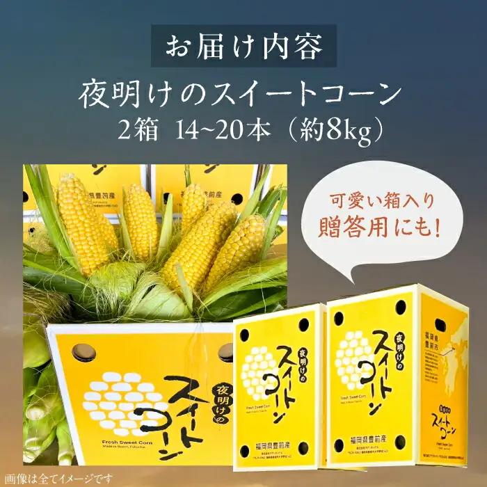【先行予約】夜明けのスイートコーン 4kg×2箱 14-20本 [VCO002] コーン とうもろこし
