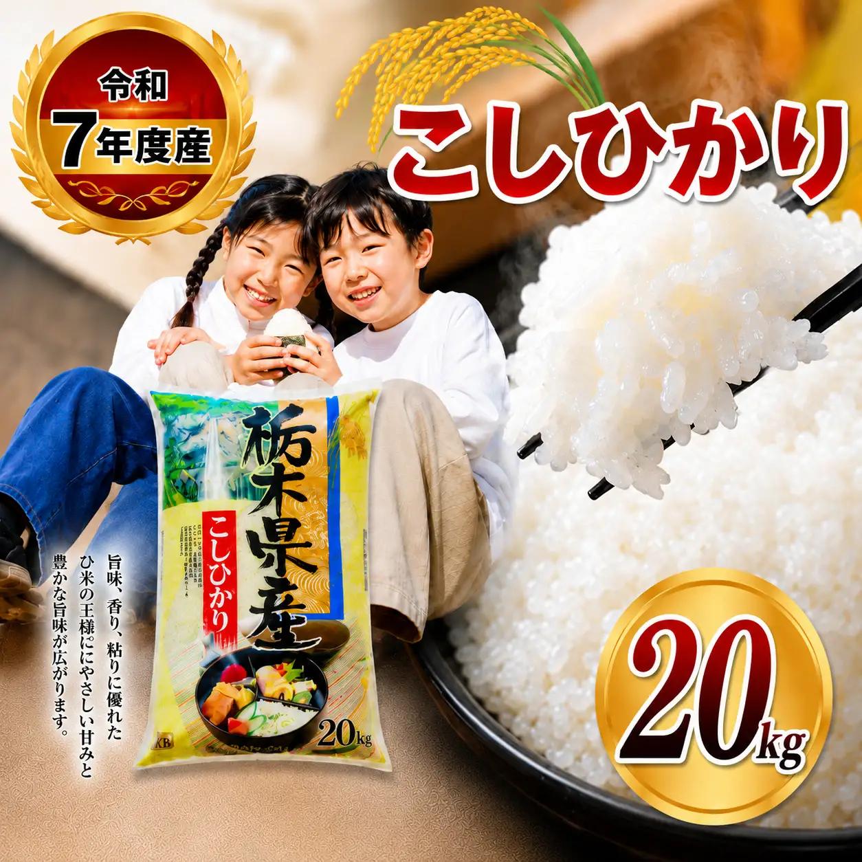 【栃木県共通返礼品】令和7年度産 栃木県産 こしひかり 5kg × 4袋 （合計20kg） | ふるさと 納税 コシヒカリ お米 精米 白米 玄米 大粒 共通返礼品 送料無料 那珂川町 栃木県